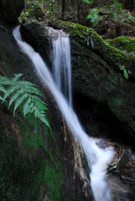 DSC_4254.JPG