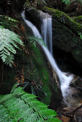DSC_4256.JPG