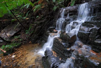 DSC_4263.JPG
