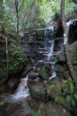 DSC_4265.JPG
