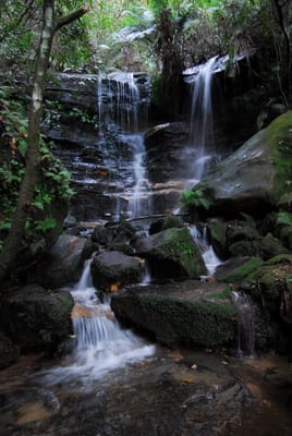DSC_4266.JPG