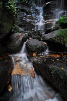 DSC_4268.JPG