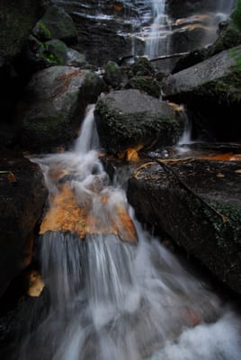 DSC_4269.JPG