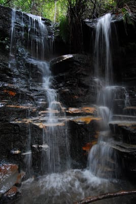 DSC_4271.JPG