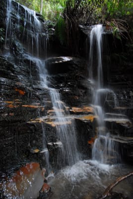 DSC_4272.JPG