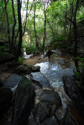 DSC_4273.JPG