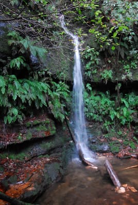 DSC_4276.JPG