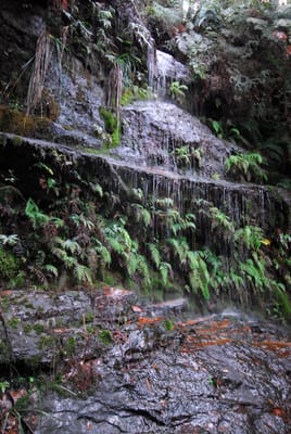 DSC_4278.JPG