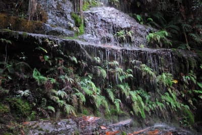 DSC_4279.JPG