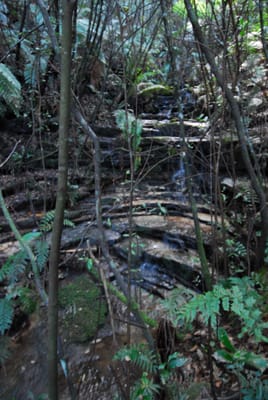 DSC_4285.JPG