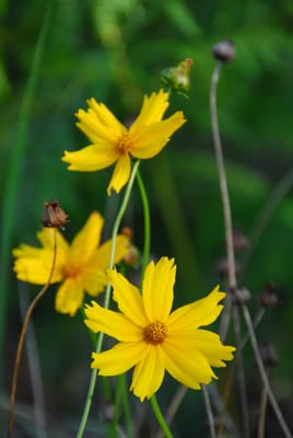 DSC_4301.JPG