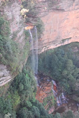 DSC_4313.JPG