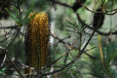 DSC_4322.JPG