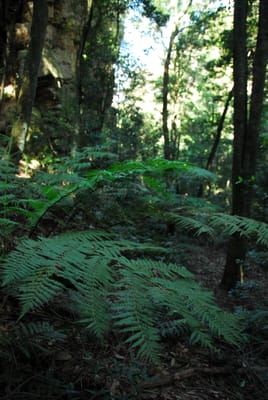 DSC_4325.JPG