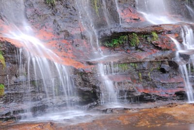DSC_4339.JPG