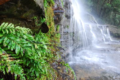 DSC_4352.JPG