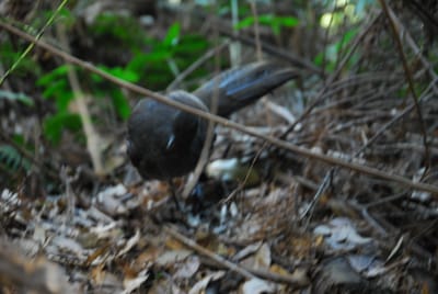 DSC_4358.JPG