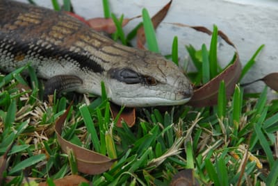DSC_7150.JPG