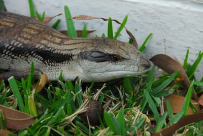 DSC_7151.JPG
