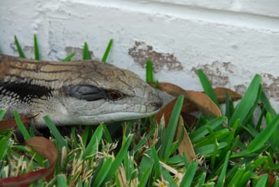 DSC_7152.JPG