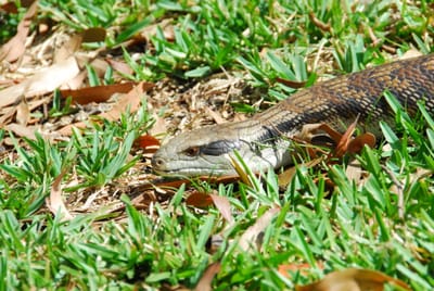 DSC_7161.JPG