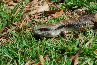 DSC_7162.JPG
