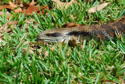 DSC_7164.JPG