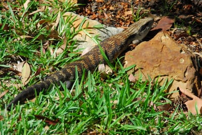 DSC_7174.JPG