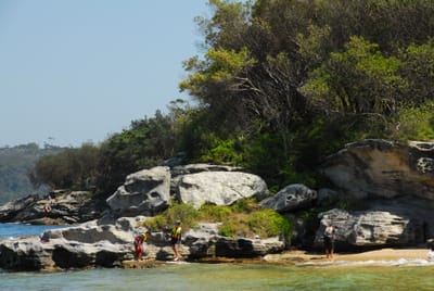 DSC_3175.JPG