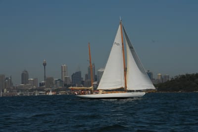 DSC_3176.JPG