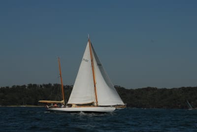 DSC_3177.JPG