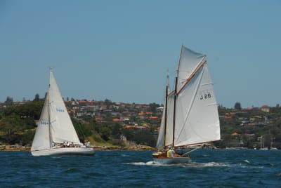 DSC_3181.JPG