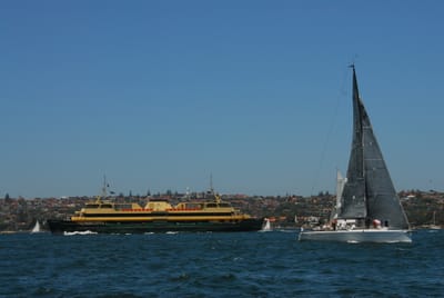 DSC_3183.JPG