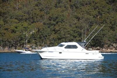 DSC_6117.JPG