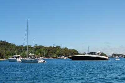 DSC_7132.JPG