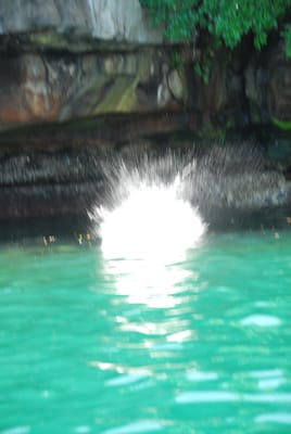 DSC_7141.JPG