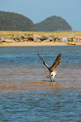 DSC_3118.JPG