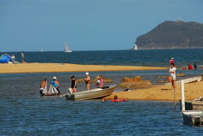 DSC_3134.JPG