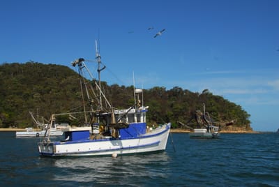 DSC_3141.JPG