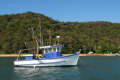DSC_3142.JPG