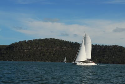 DSC_3155.JPG
