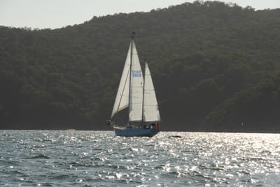 DSC_3156.JPG