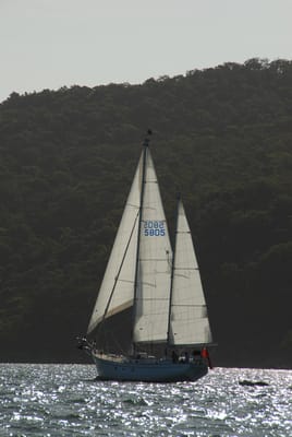 DSC_3157.JPG