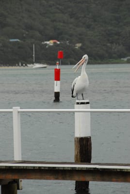DSC_4150.JPG