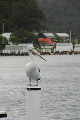 DSC_4152.JPG