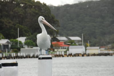 DSC_4154.JPG