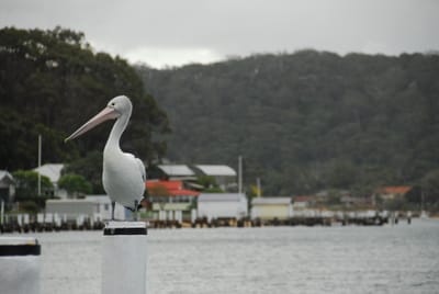 DSC_4156.JPG