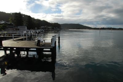 DSC_4201.JPG