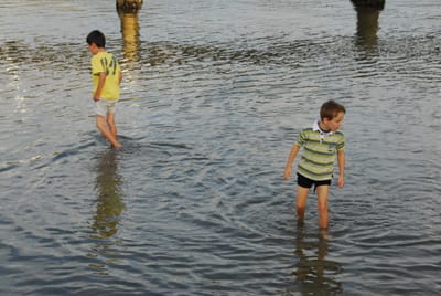 DSC_4202.JPG