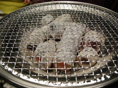 DSCN0713.JPG